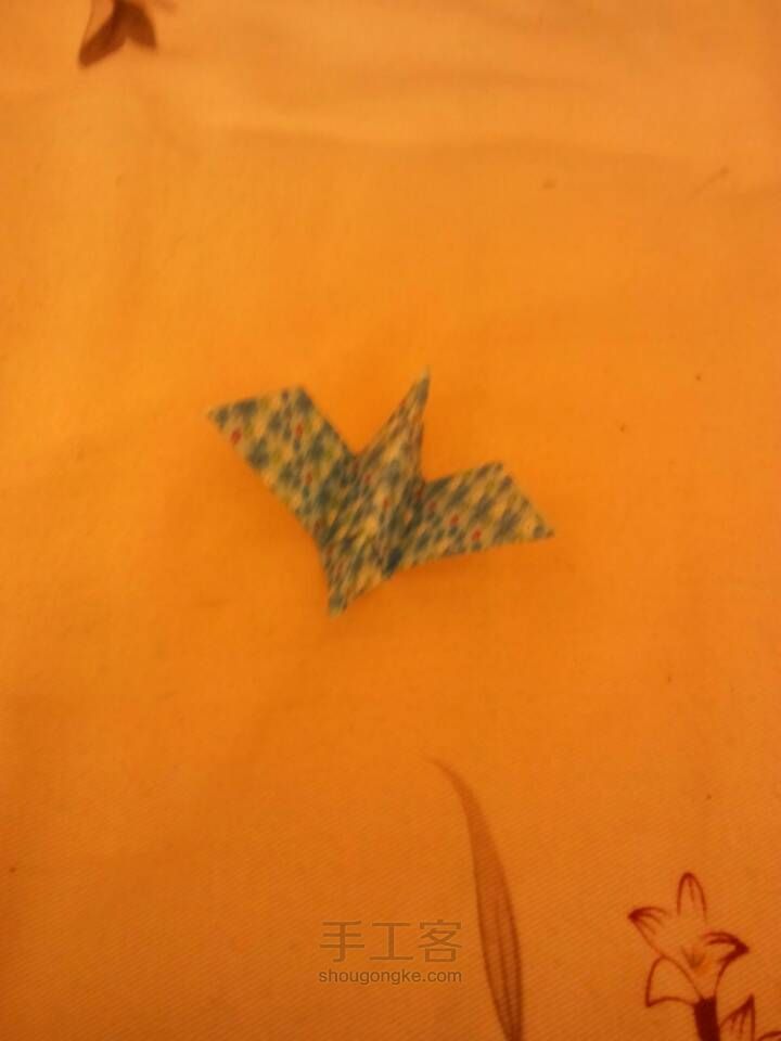 小鸟 第5步