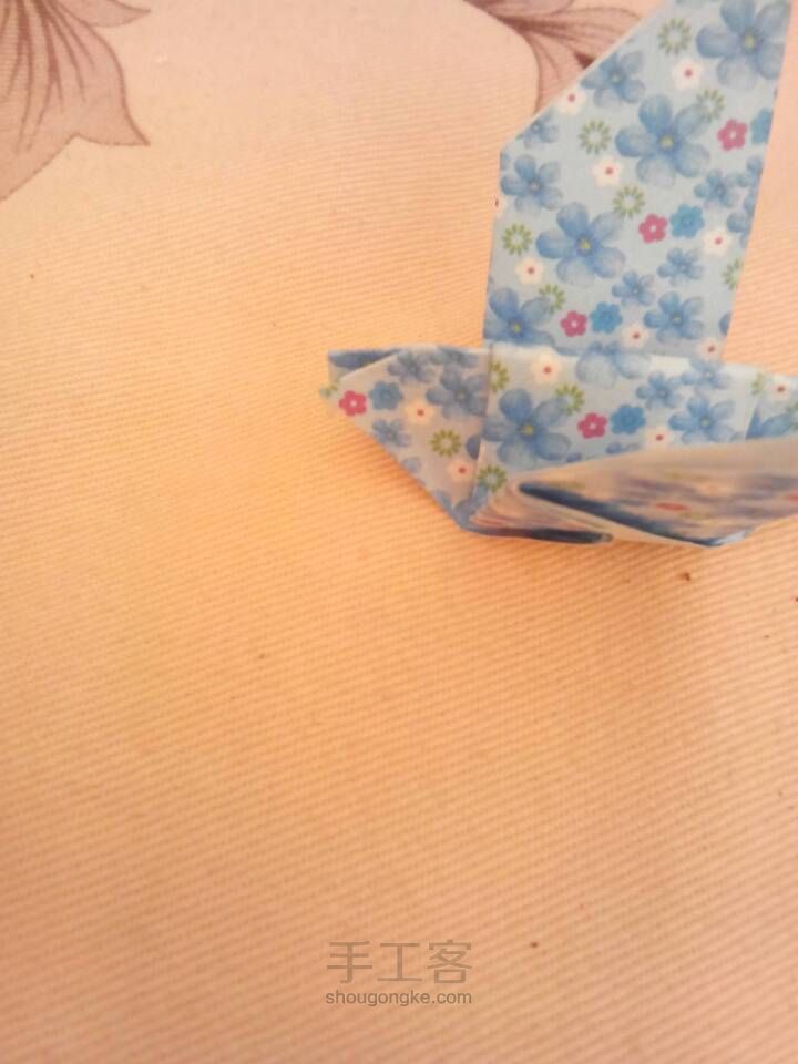 小鸟 第6步