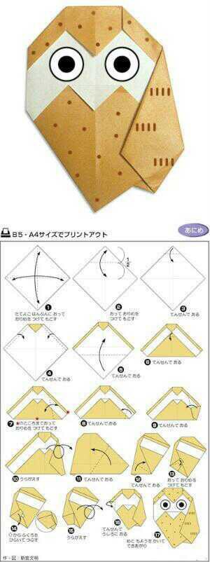 【转载】折纸教程 第12步