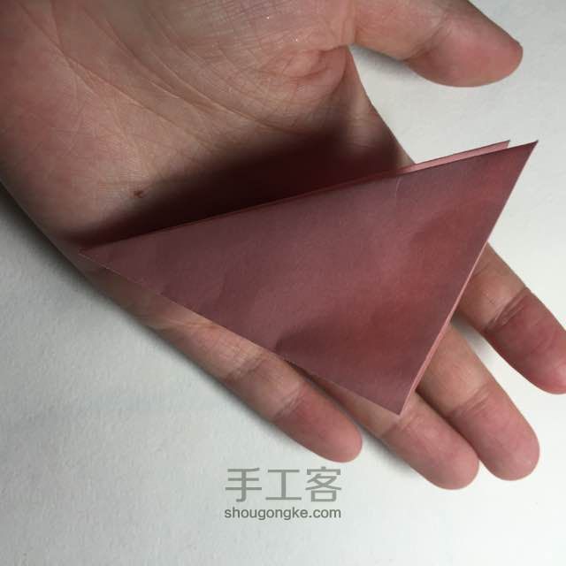 （纸花系列十一）一款纸花的折法 第9步
