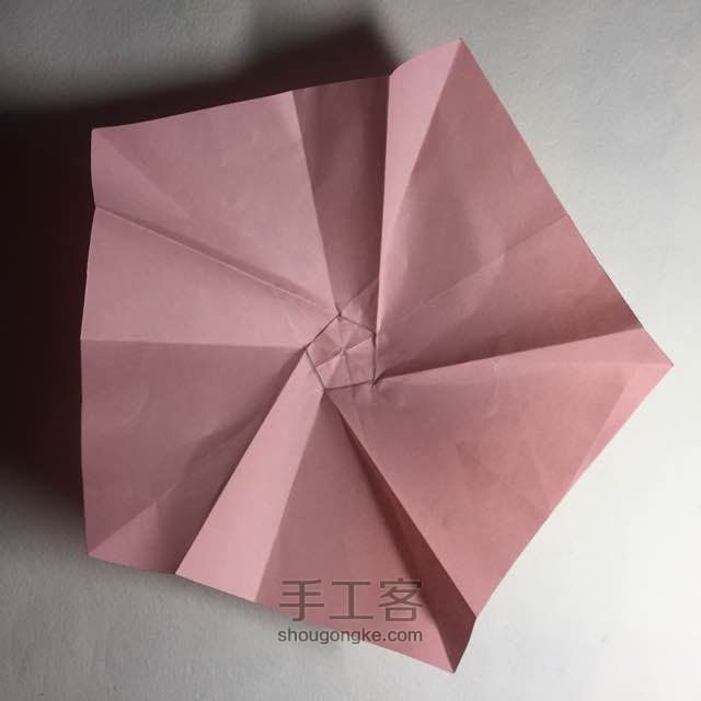 （纸花系列十一）一款纸花的折法 第13步