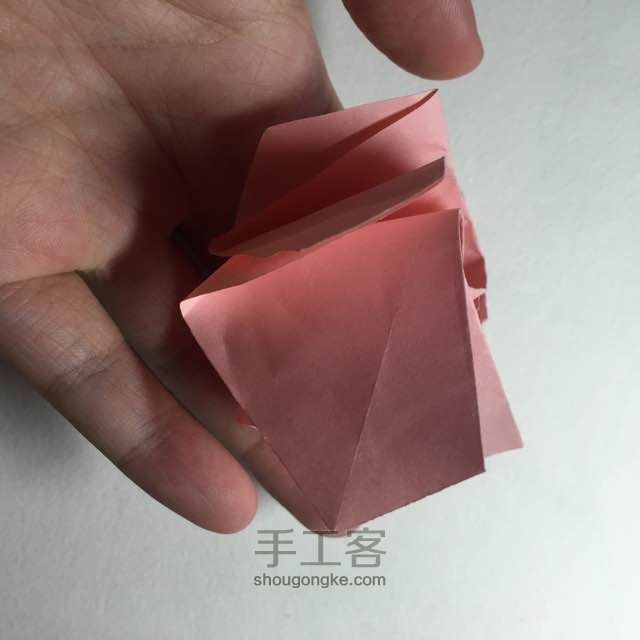 （纸花系列十一）一款纸花的折法 第16步