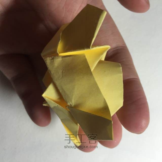 （纸花系列十一）一款纸花的折法 第19步