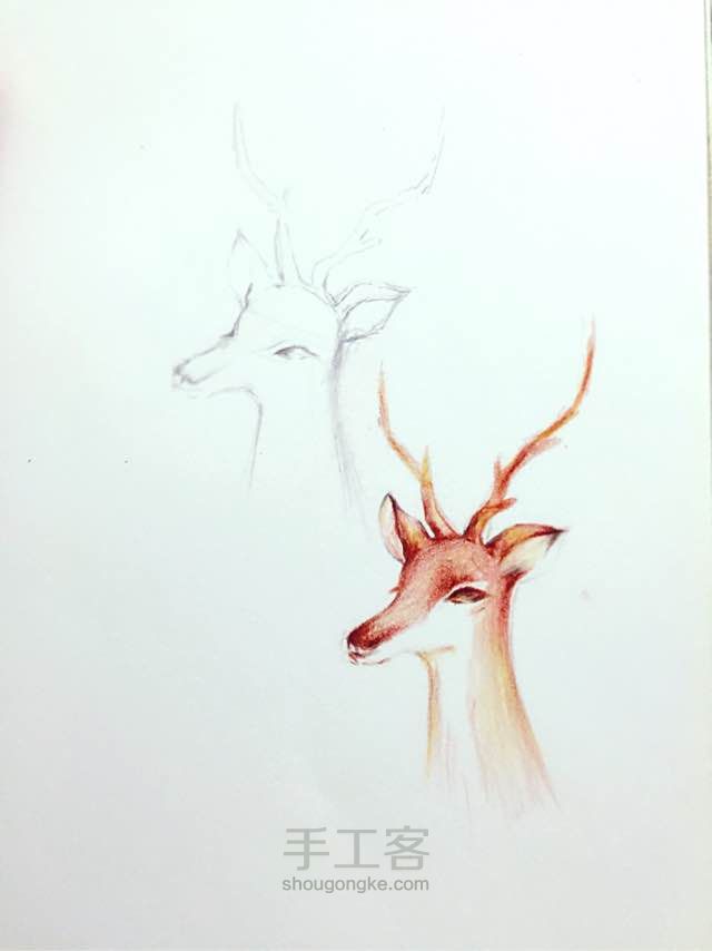 满天星下的一只温顺的鹿。手绘压花手机壳的制作。 第8步