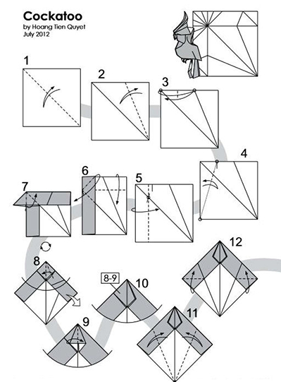 折纸·凤头鹦鹉 第1步