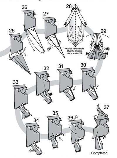 折纸·凤头鹦鹉 第3步
