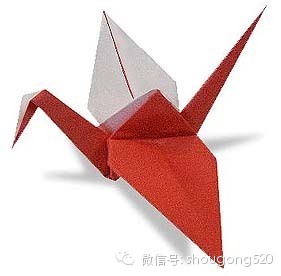 折纸收藏① 第14步