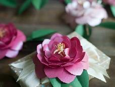 这是我在微博上看到的一个使用珠光卡纸制作的纸艺茶花，非常漂亮~可以装饰在礼物盒上，也可以做成花环，也可以发挥想象做成婚礼的欢迎牌~