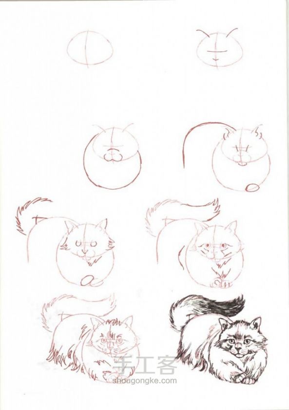 画猫咪的手绘教程 第5步
