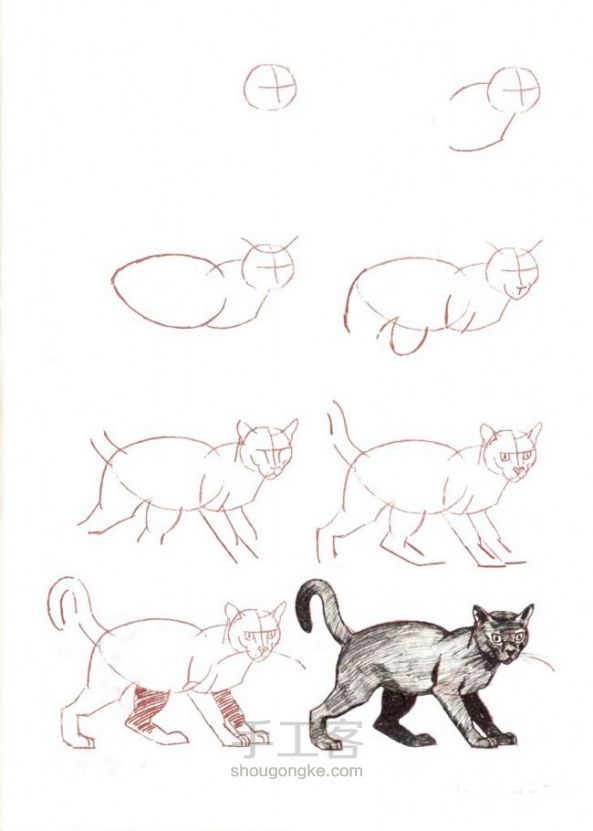 画猫咪的手绘教程 第6步