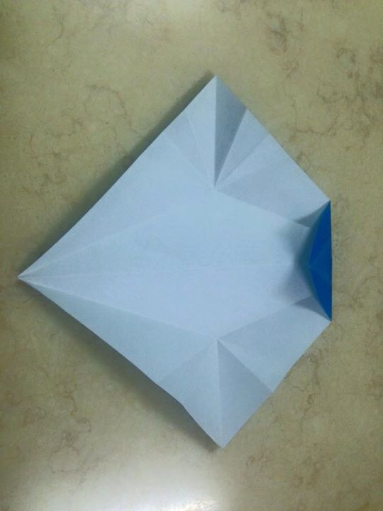 海豚折纸手工教程【转载】 第10步