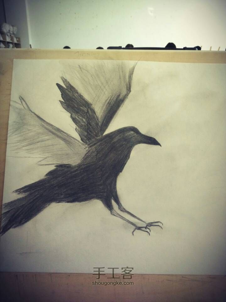 我在学画，这周的乌鸦 第3步