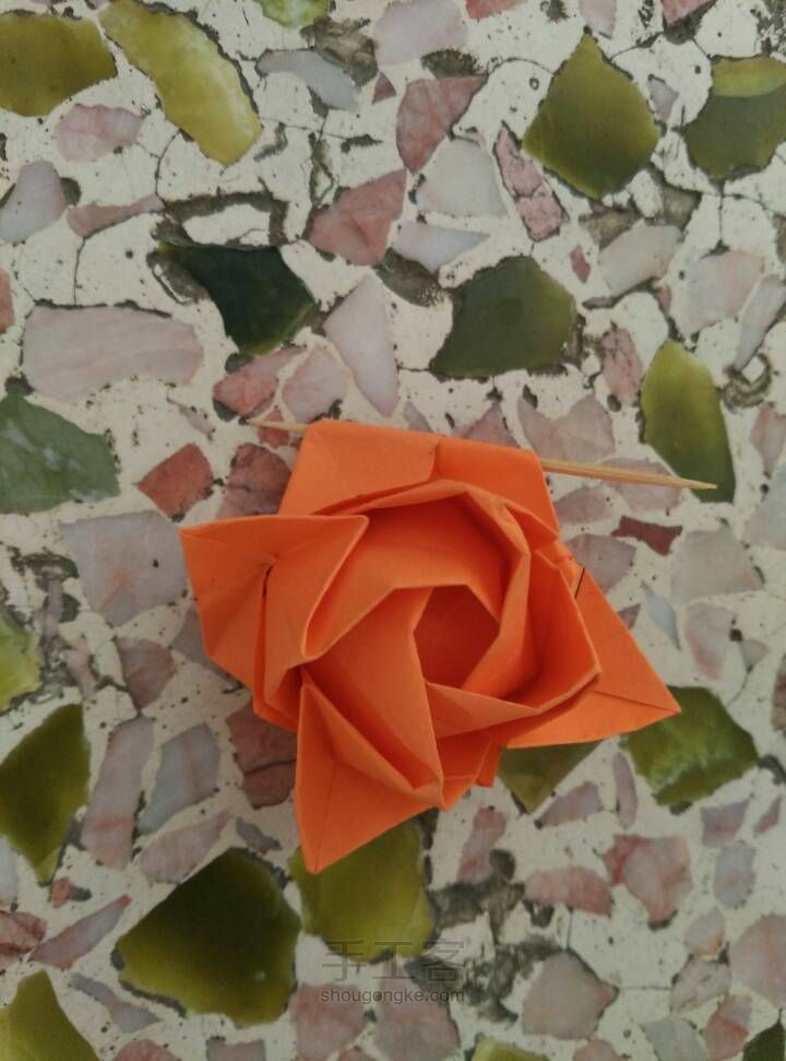 惊艳史上最美的玫瑰花🌹 第80步