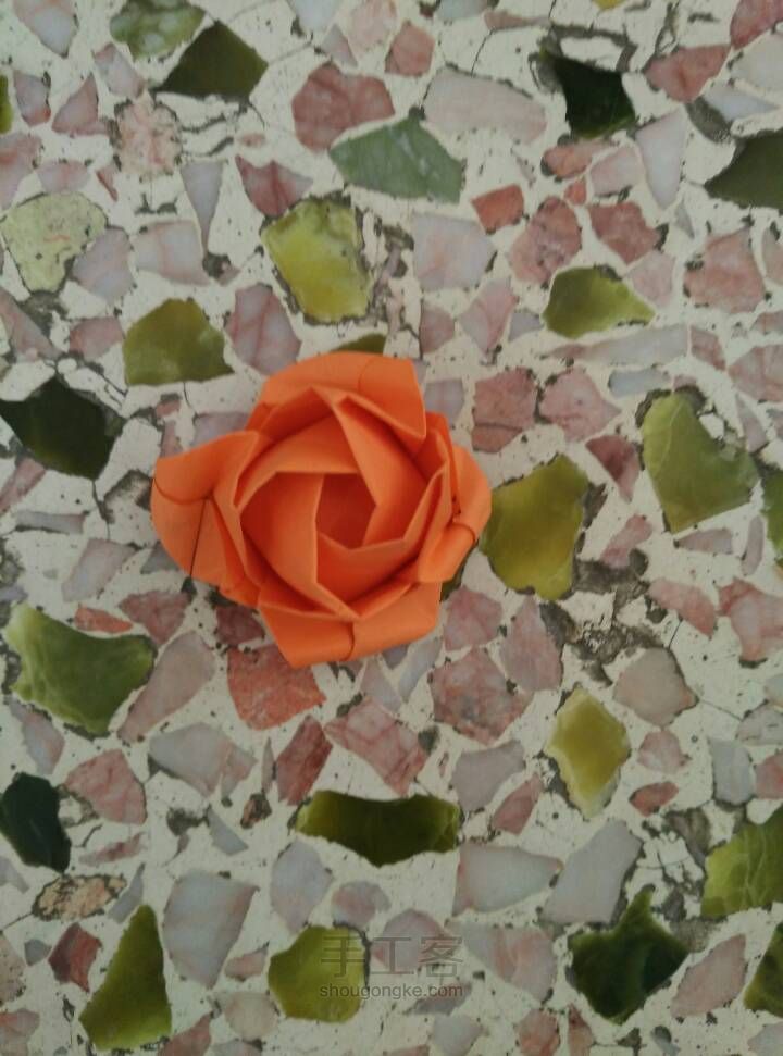 惊艳史上最美的玫瑰花🌹 第83步