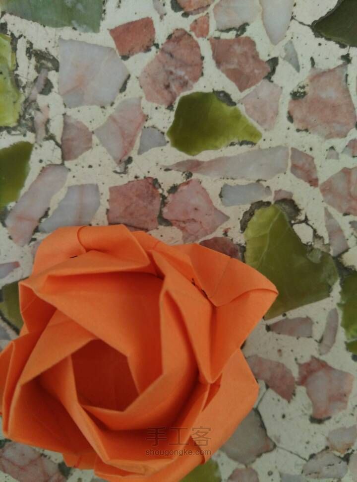 惊艳史上最美的玫瑰花🌹 第87步