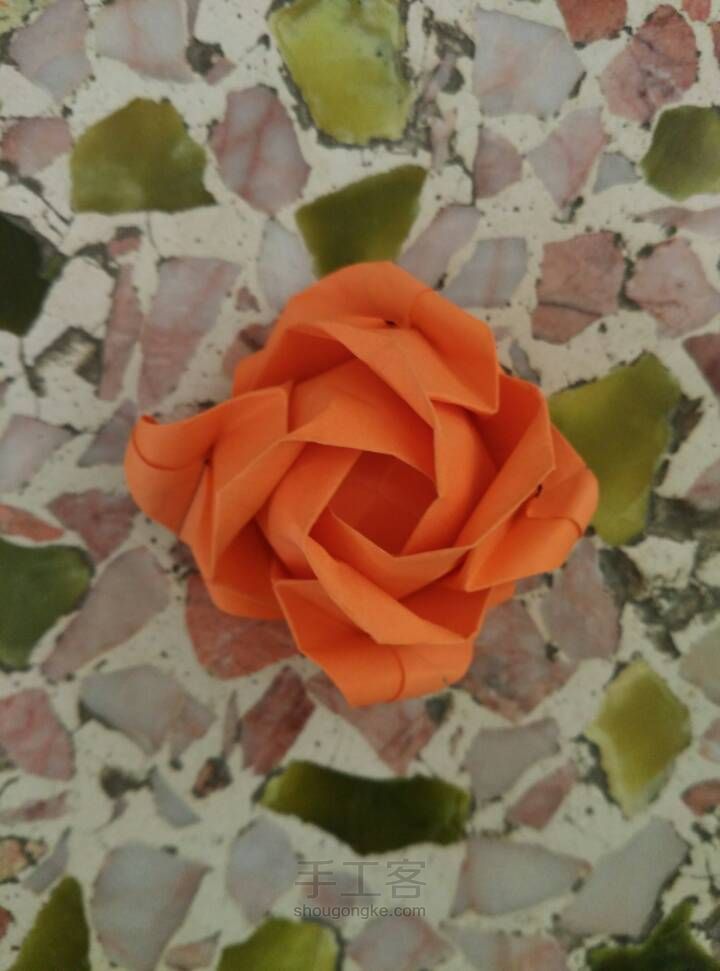惊艳史上最美的玫瑰花🌹 第92步