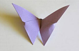 【转载】教你折个美美哒的纸蝴蝶(｡･ω･｡)ﾉ♡ 第9步