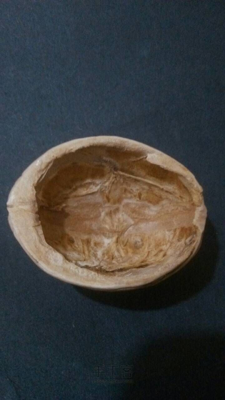 核桃壳里的小宠物 第1步