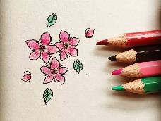 绘画简单明了,简单花卉学习哦！