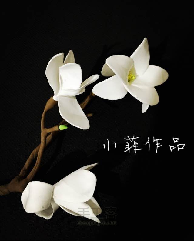 小菲粘土花——孤傲的玉兰清雅高贵 第15步