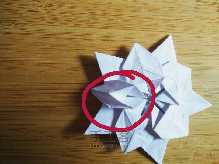 樱花星星折纸 第30步