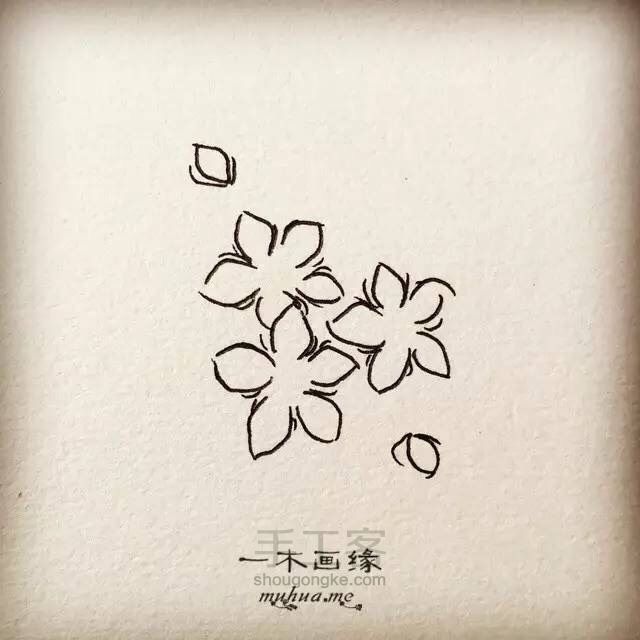 【一木画缘】花卉小课堂之桃花（第8期） 第3步
