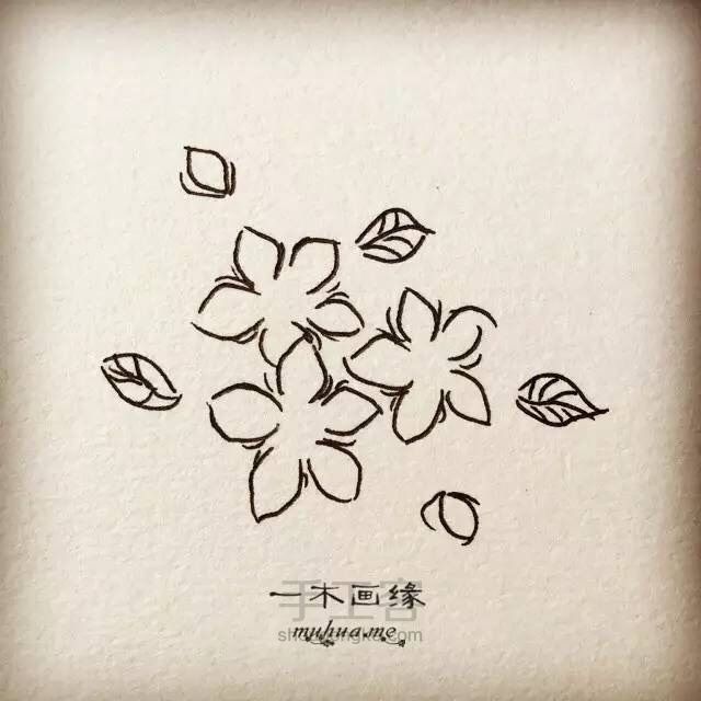 【一木画缘】花卉小课堂之桃花（第8期） 第4步