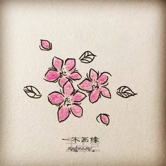 【一木画缘】花卉小课堂之桃花（第8期） 第6步