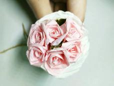 浪漫的粉玫瑰。