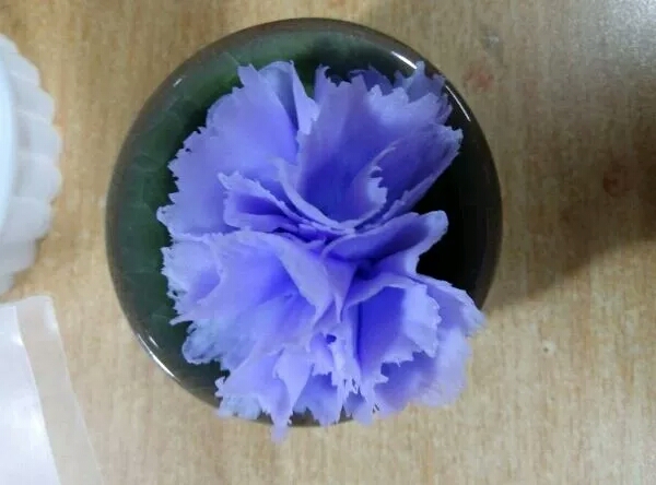 紫色康乃馨 第8步