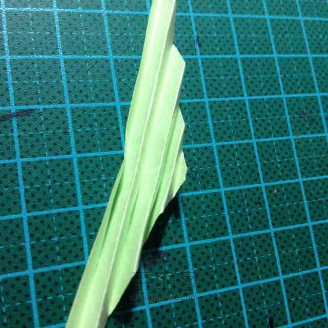 叶子 第2步