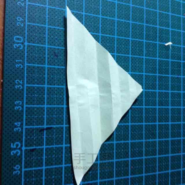 叶子 第1步