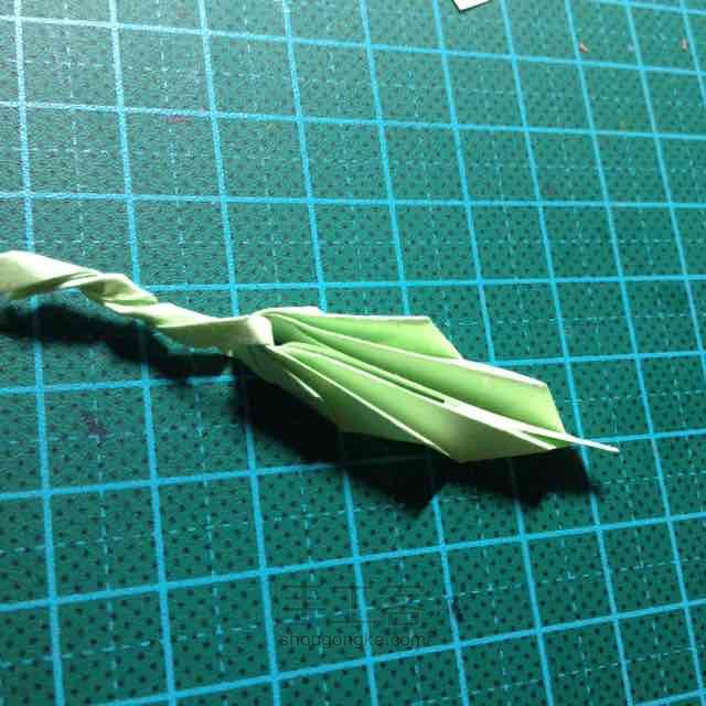 叶子 第6步