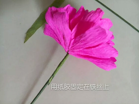 简单木槿花【来自网络】 第10步