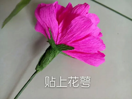 简单木槿花【来自网络】 第12步