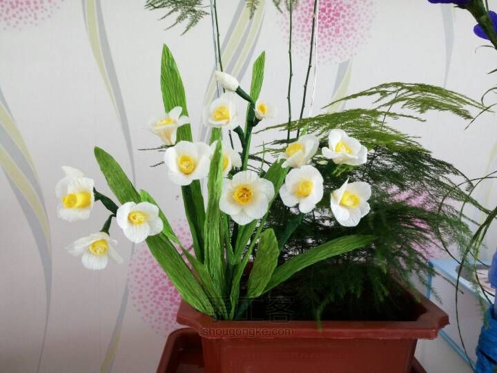 水仙花 第1步