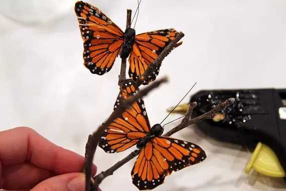 （图片来自网络）学做蝴蝶玻璃罩 感受清新自然美~ 第4步