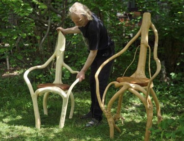 奥地利艺术家打造自然生长树椅 耗时20年完成 第4步
