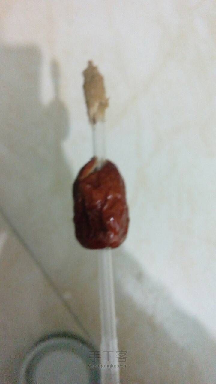 营养美颜红枣奶 第2步