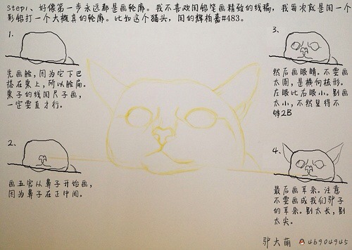 新手教你画出萌萌哒的猫猫 第2步