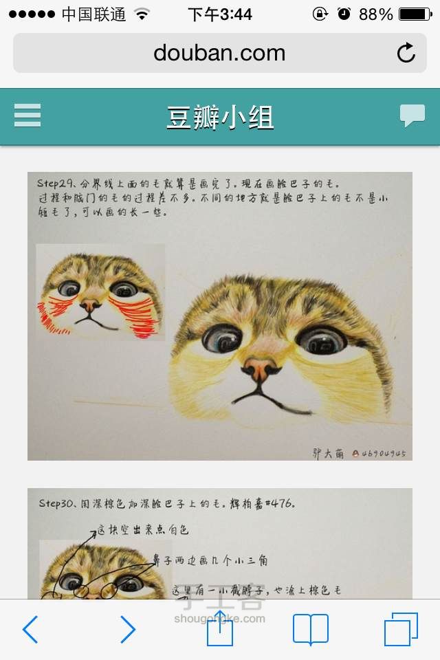 新手教你画出萌萌哒的猫猫 第30步