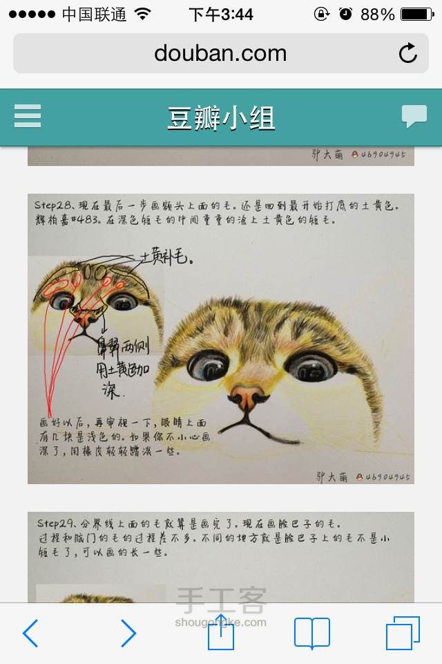 新手教你画出萌萌哒的猫猫 第29步