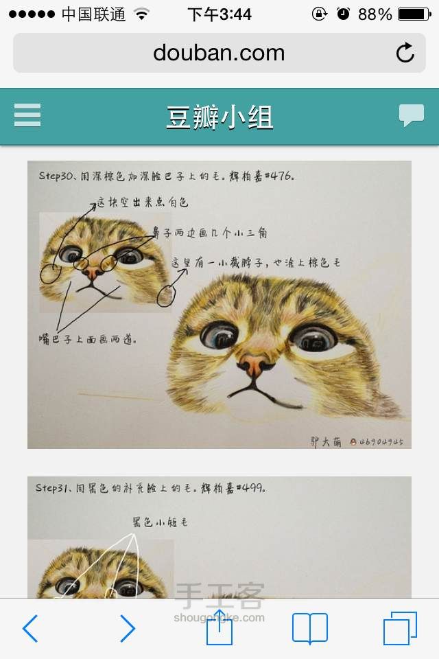 新手教你画出萌萌哒的猫猫 第31步