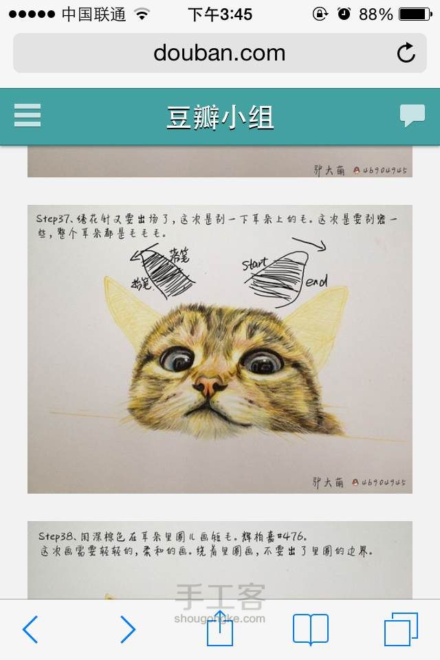 新手教你画出萌萌哒的猫猫 第38步