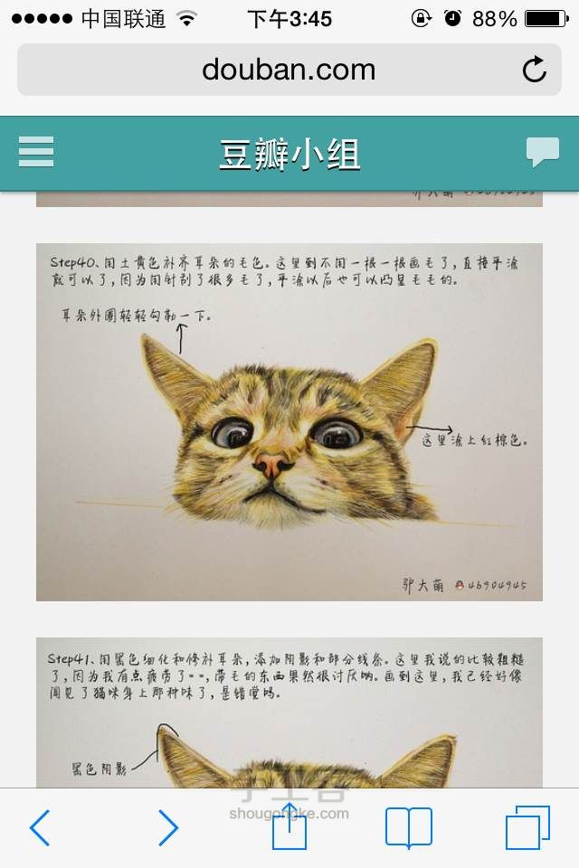 新手教你画出萌萌哒的猫猫 第41步