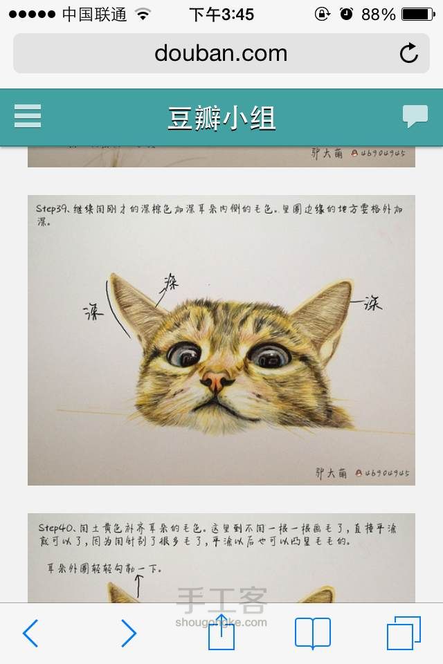 新手教你画出萌萌哒的猫猫 第40步