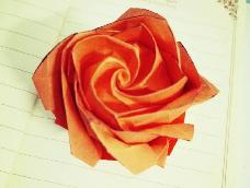美美的折纸玫瑰