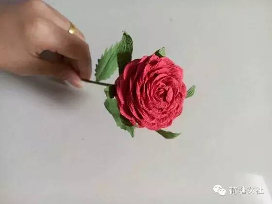 （转）纸玫瑰 第1步