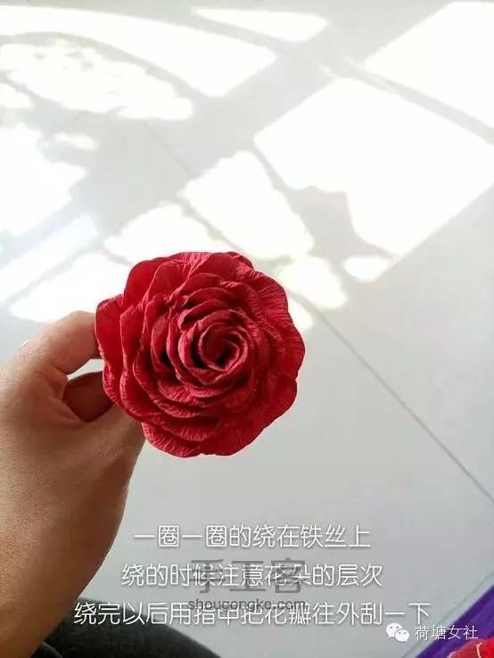（转）纸玫瑰 第10步