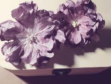 喜欢忧郁的酱紫，喜欢似凋零的花朵，想的到么，如此唯美的手作纸花真的是用白纸做的哟
